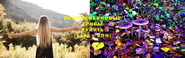 бошки Балашиха