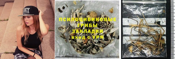 индика Пенза
