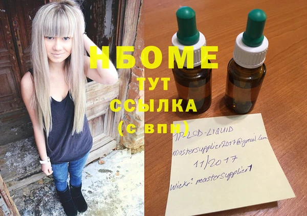 индика Пенза