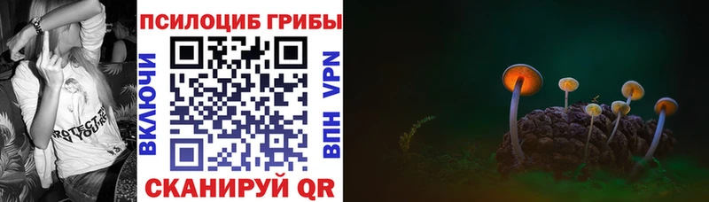 Псилоцибиновые грибы мицелий  мориарти клад  Чекалин 
